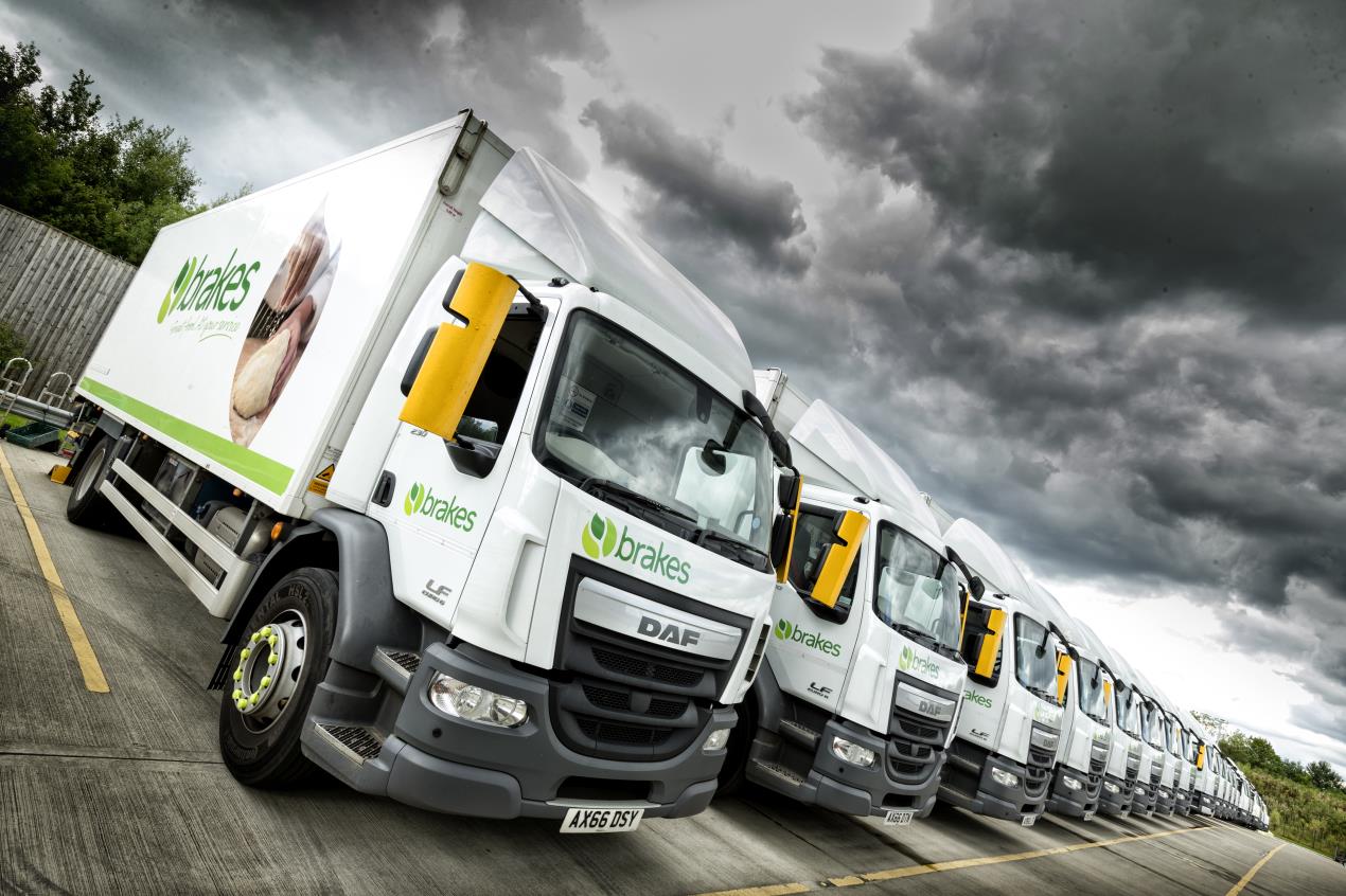 DAF LTS Distribution