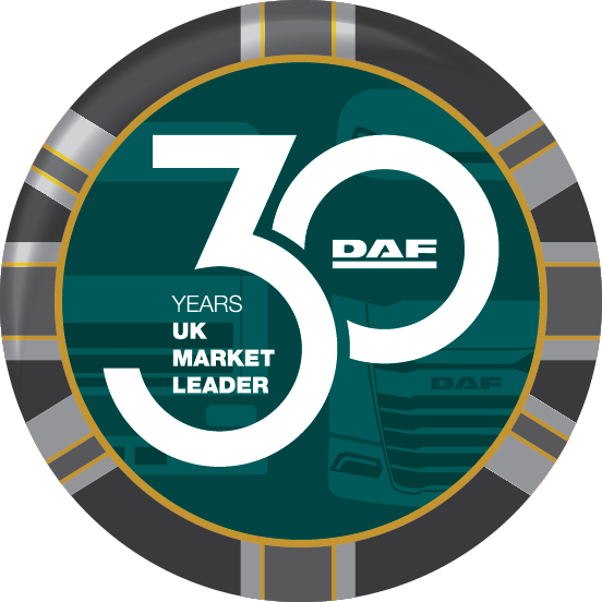 30 Year Logo