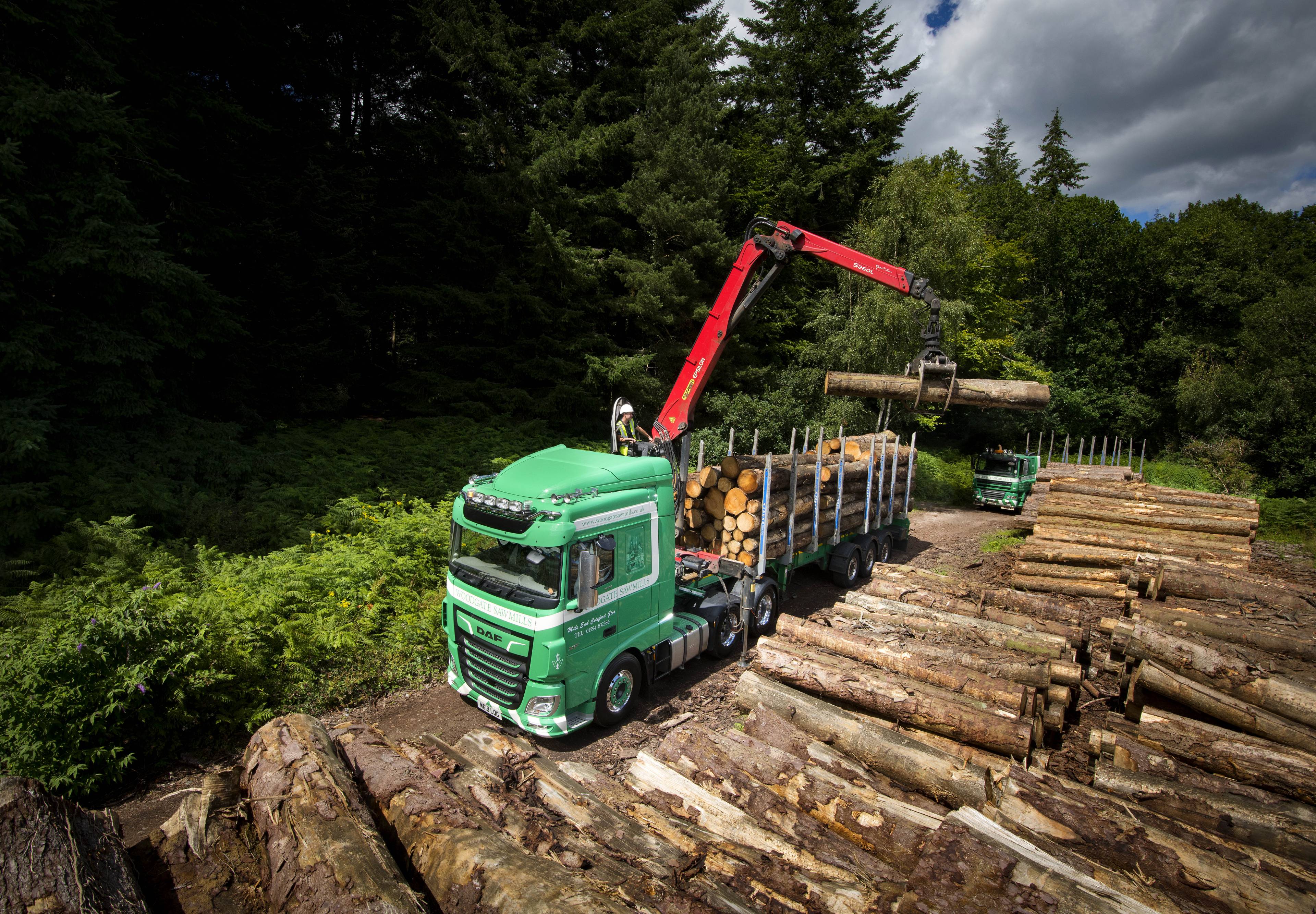Woodgate Sawmills